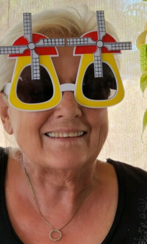 Windmill glasses to party